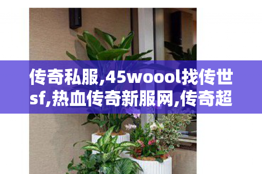 传奇私服,45woool找传世sf,热血传奇新服网,传奇超变态私服,热血传奇新服网