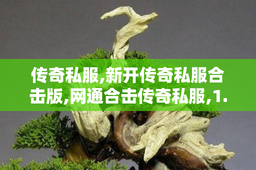 传奇私服,新开传奇私服合击版,网通合击传奇私服,1.80传奇合击私服,网通合击传奇私服