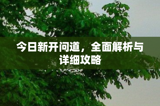 今日新开问道，全面解析与详细攻略
