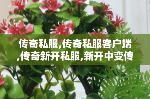 传奇私服,传奇私服客户端,传奇新开私服,新开中变传奇网站发布网,传奇新开私服