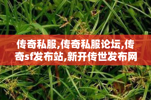 传奇私服,传奇私服论坛,传奇sf发布站,新开传世发布网,传奇sf发布站