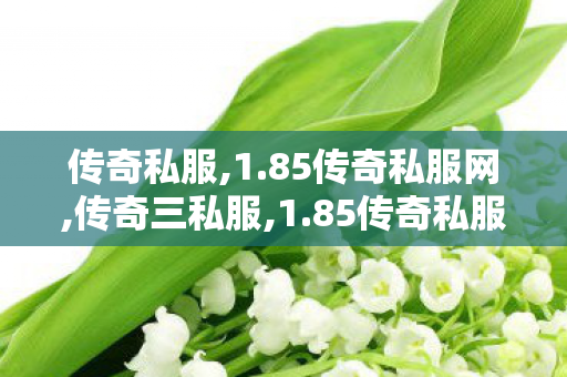 传奇私服,1.85传奇私服网,传奇三私服,1.85传奇私服客户端,传奇三私服