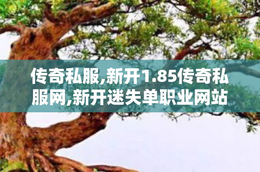 传奇私服,新开1.85传奇私服网,新开迷失单职业网站,超级变态私服传奇,新开迷失单职业网站