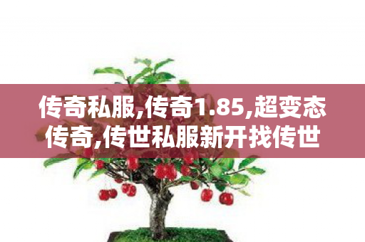 传奇私服,传奇1.85,超变态传奇,传世私服新开找传世网,超变态传奇