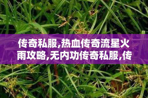 传奇私服,热血传奇流星火雨攻略,无内功传奇私服,传奇私发布网,无内功传奇私服