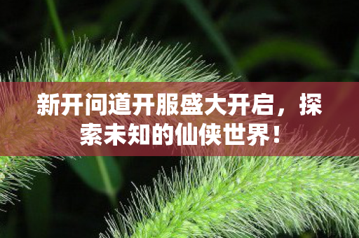 新开问道开服盛大开启，探索未知的仙侠世界！