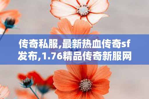 传奇私服,最新热血传奇sf发布,1.76精品传奇新服网,传世新开网站,1.76精品传奇新服网