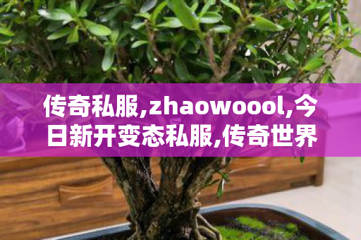传奇私服,zhaowoool,今日新开变态私服,传奇世界公益服发布网,今日新开变态私服