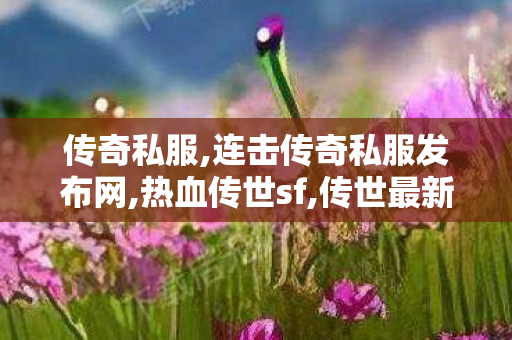 传奇私服,连击传奇私服发布网,热血传世sf,传世最新sf,热血传世sf