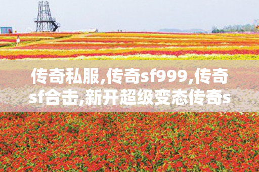 传奇私服,传奇sf999,传奇sf合击,新开超级变态传奇sf,传奇sf合击