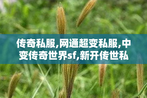 传奇私服,网通超变私服,中变传奇世界sf,新开传世私服有元神,中变传奇世界sf