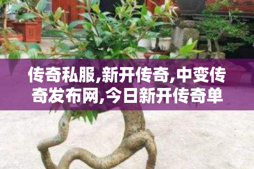 传奇私服,新开传奇,中变传奇发布网,今日新开传奇单职业,中变传奇发布网