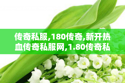 传奇私服,180传奇,新开热血传奇私服网,1.80传奇私服发布网,新开热血传奇私服网