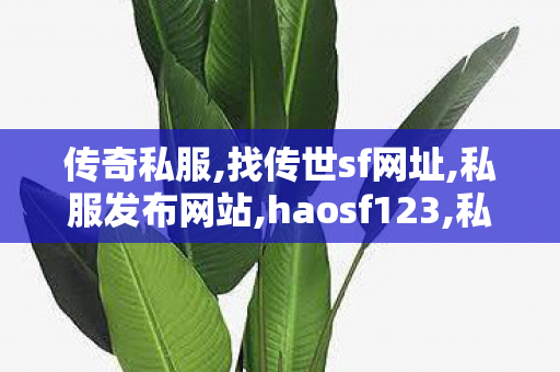 传奇私服,找传世sf网址,私服发布网站,haosf123,私服发布网站