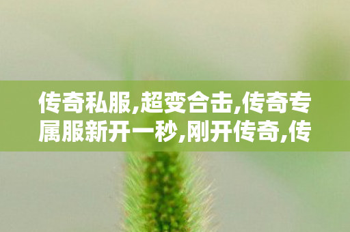 传奇私服,超变合击,传奇专属服新开一秒,刚开传奇,传奇专属服新开一秒