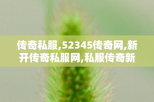 传奇私服,52345传奇网,新开传奇私服网,私服传奇新开网站,新开传奇私服网