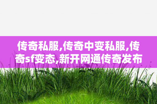 传奇私服,传奇中变私服,传奇sf变态,新开网通传奇发布网,传奇sf变态