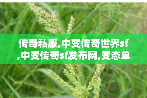 传奇私服,中变传奇世界sf,中变传奇sf发布网,变态单职业传奇私服,中变传奇sf发布网