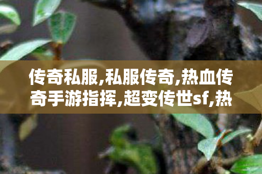 传奇私服,私服传奇,热血传奇手游指挥,超变传世sf,热血传奇手游指挥
