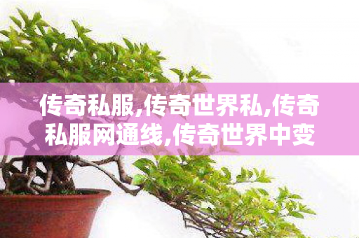 传奇私服,传奇世界私,传奇私服网通线,传奇世界中变手游,传奇私服网通线