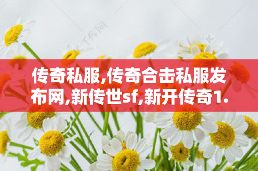 传奇私服,传奇合击私服发布网,新传世sf,新开传奇1.85,新传世sf