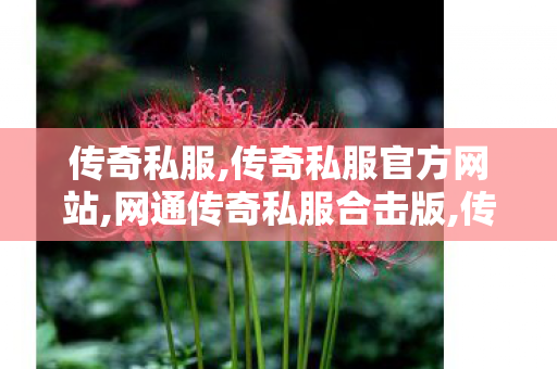 传奇私服,传奇私服官方网站,网通传奇私服合击版,传奇世界sf发布网站,网通传奇私服合击版