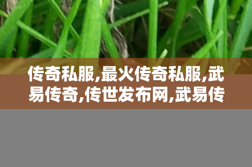 传奇私服,最火传奇私服,武易传奇,传世发布网,武易传奇