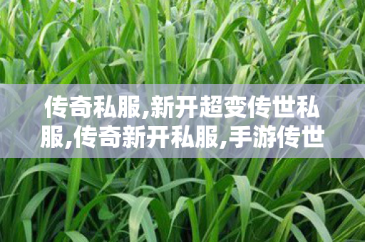 传奇私服,新开超变传世私服,传奇新开私服,手游传世sf,传奇新开私服
