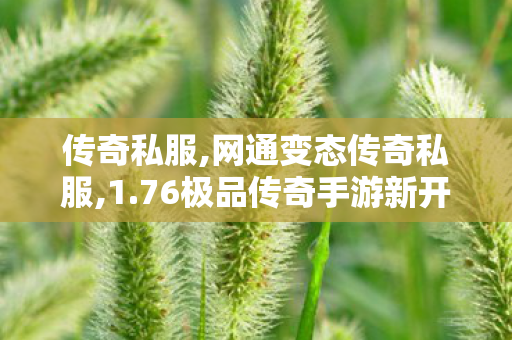 传奇私服,网通变态传奇私服,1.76极品传奇手游新开,私服,1.76极品传奇手游新开