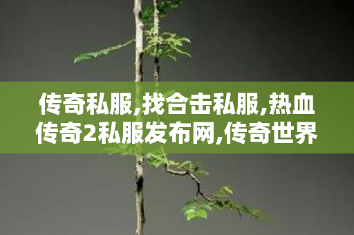 传奇私服,找合击私服,热血传奇2私服发布网,传奇世界复古版本攻略,热血传奇2私服发布网