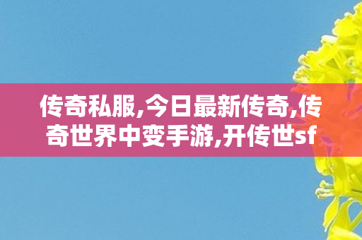 传奇私服,今日最新传奇,传奇世界中变手游,开传世sf网站,传奇世界中变手游