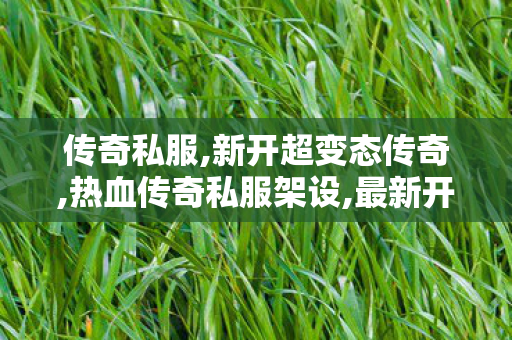 传奇私服,新开超变态传奇,热血传奇私服架设,最新开传奇合击,热血传奇私服架设