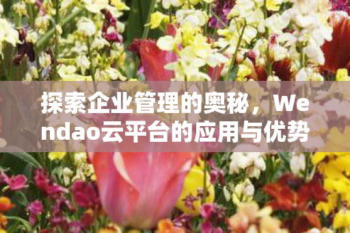 探索企业管理的奥秘，Wendao云平台的应用与优势