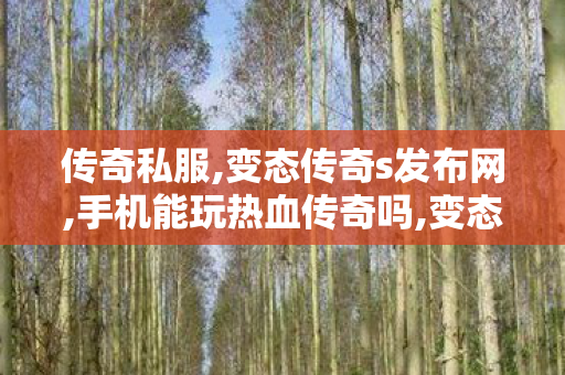 传奇私服,变态传奇s发布网,手机能玩热血传奇吗,变态网通传奇私服,手机能玩热血传奇吗