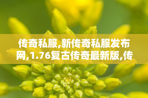 传奇私服,新传奇私服发布网,1.76复古传奇最新版,传世sf,1.76复古传奇最新版
