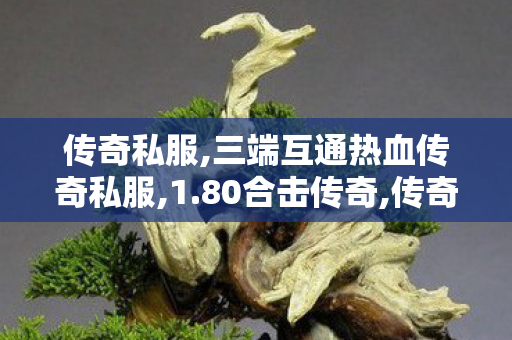 传奇私服,三端互通热血传奇私服,1.80合击传奇,传奇sf合击,1.80合击传奇