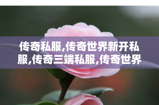 传奇私服,传奇世界新开私服,传奇三端私服,传奇世界sf网站,传奇三端私服