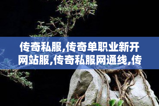 传奇私服,传奇单职业新开网站服,传奇私服网通线,传世网站发布网,传奇私服网通线