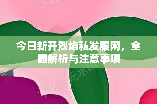 今日新开烈焰私发服网，全面解析与注意事项