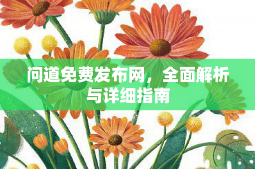 问道免费发布网，全面解析与详细指南