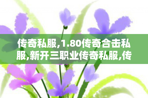 传奇私服,1.80传奇合击私服,新开三职业传奇私服,传奇世界老版本客户端下载,新开三职业传奇私服