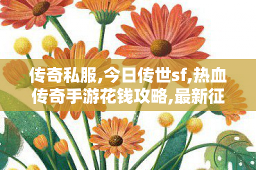 传奇私服,今日传世sf,热血传奇手游花钱攻略,最新征服私服,热血传奇手游花钱攻略
