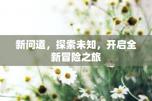 新问道，探索未知，开启全新冒险之旅