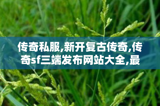 传奇私服,新开复古传奇,传奇sf三端发布网站大全,最新开传世私服,传奇sf三端发布网站大全
