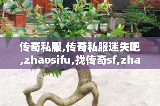 传奇私服,传奇私服迷失吧,zhaosifu,找传奇sf,zhaosifu