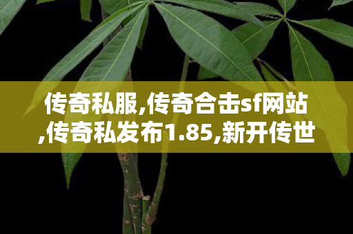 传奇私服,传奇合击sf网站,传奇私发布1.85,新开传世网站,传奇私发布1.85