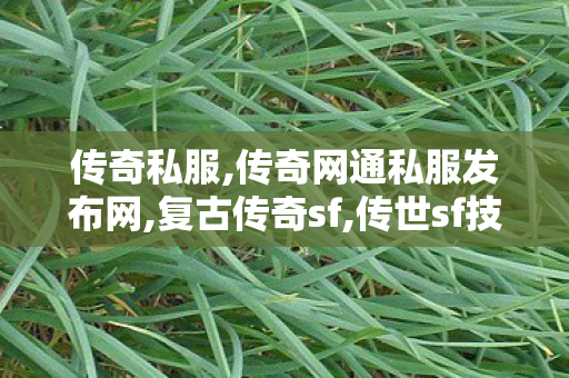 传奇私服,传奇网通私服发布网,复古传奇sf,传世sf技巧,复古传奇sf