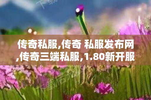 传奇私服,传奇 私服发布网,传奇三端私服,1.80新开服,传奇三端私服