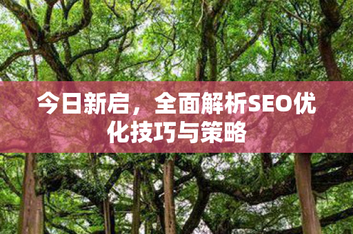 今日新启，全面解析SEO优化技巧与策略
