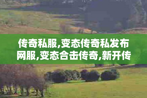 传奇私服,变态传奇私发布网服,变态合击传奇,新开传奇网站发布网,变态合击传奇